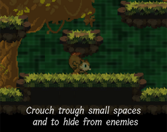 Ziggy's Acorns Image