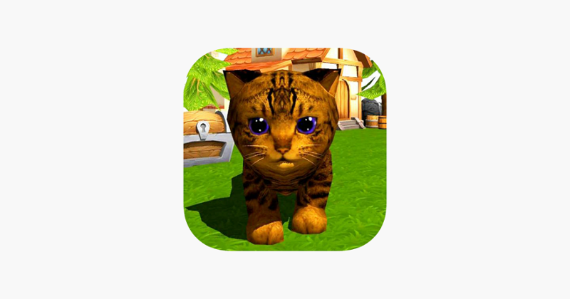 Colored Kittens, unique pet Image