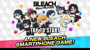 BLEACH Soul Puzzle Image