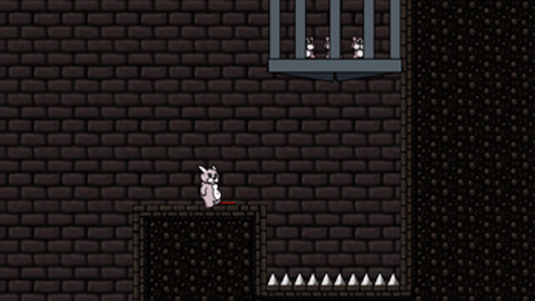 Bunny Whallop Image