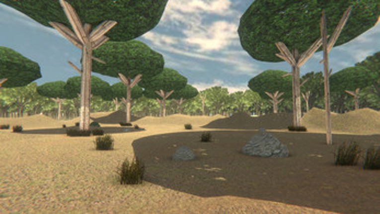 Forest Stairs Image
