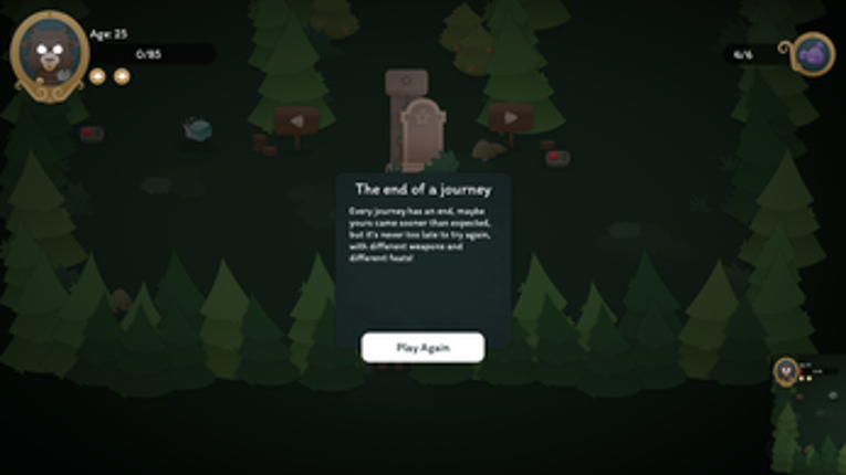 Lifetime Journey Image