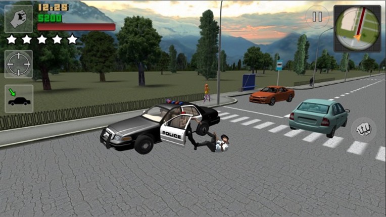 Real City Russian Car Driver screenshot