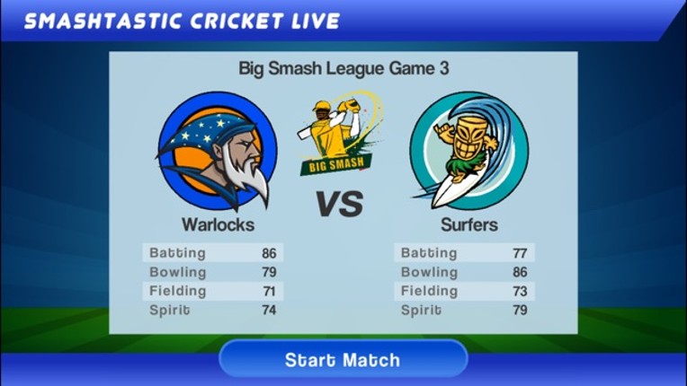 Smashtastic Cricket Image