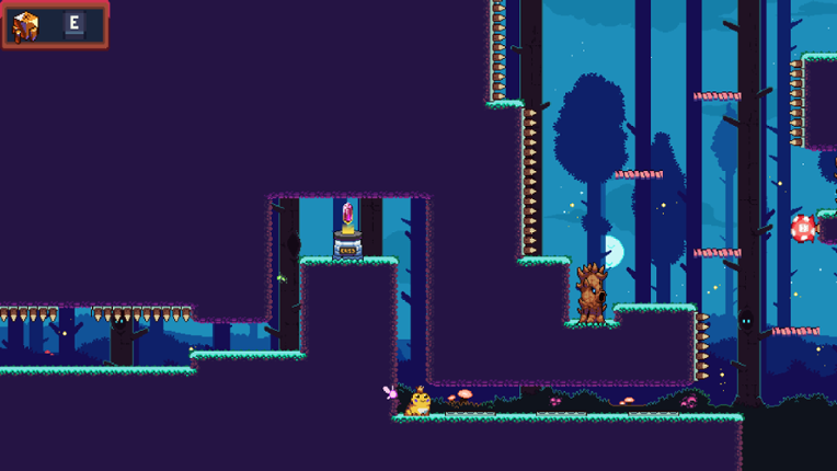 The Cursed Frog screenshot