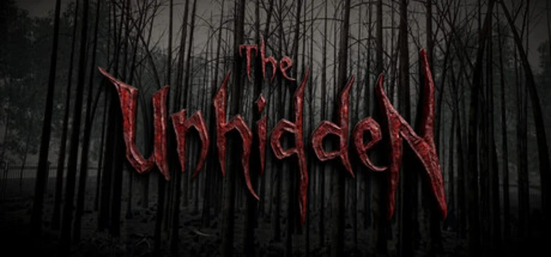 The Unhidden Image