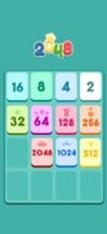 2048 Rush Brain Image