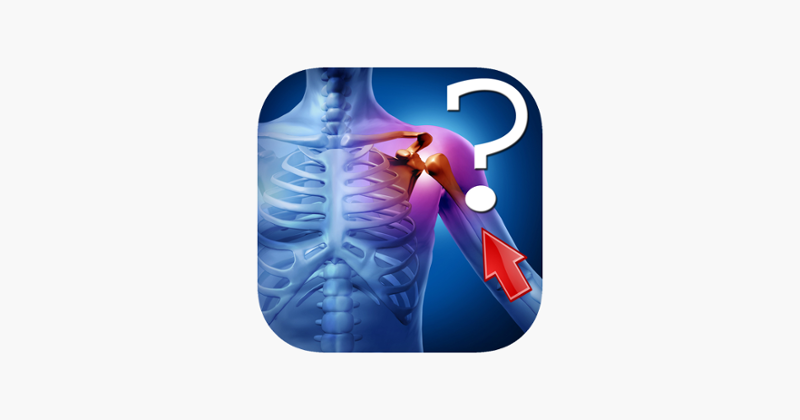 Anatomy Shoulder Quiz Image