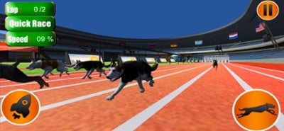 Dog Crazy Race Simulator 2023 Image