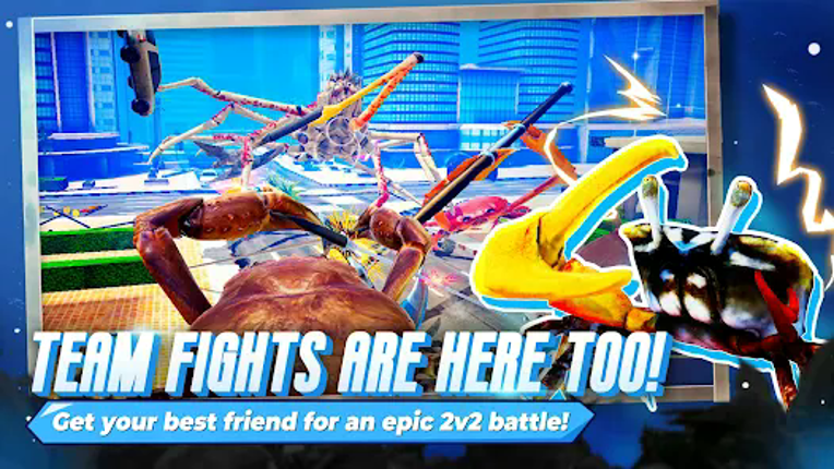 Fight Crab Image