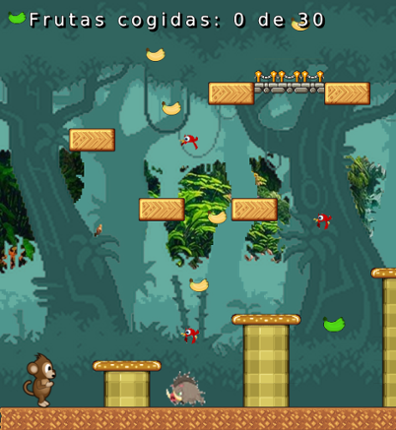 MACACO Image