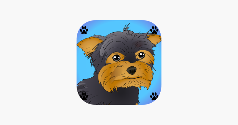 Poor Little Dog: Yorkie Image