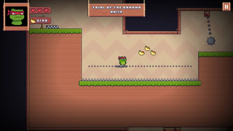 Super Frog Ninja screenshot