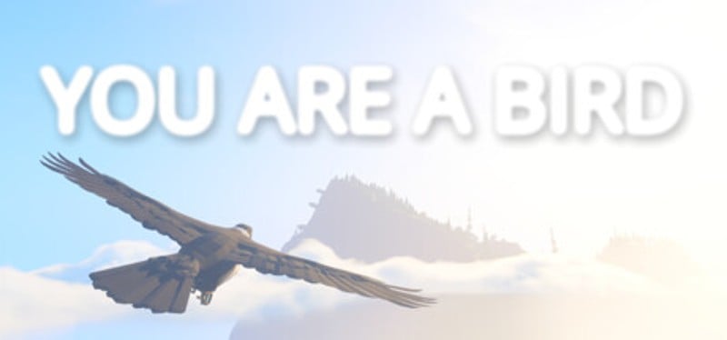 You Are a Bird Game Cover