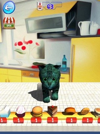 Colored Kittens, unique pet Image