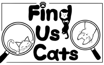 Find Us Cats Image