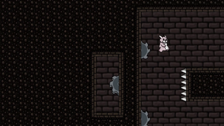Bunny Whallop Image
