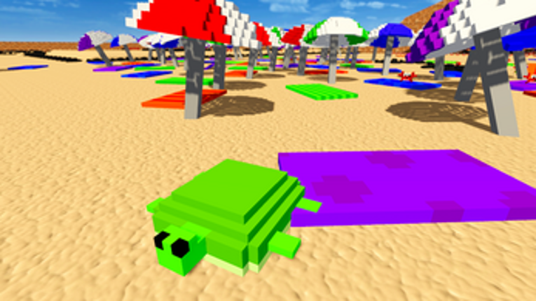 Rocket Turtle Image
