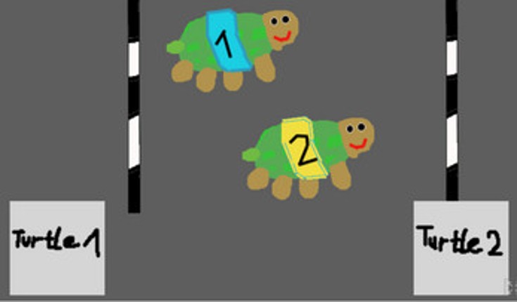 TurtlesRacing (#2 Game in One Hour) Image