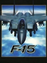 Jane's Combat Simulations: F-15 Image