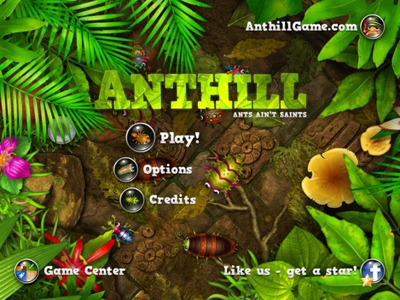 Anthill Image