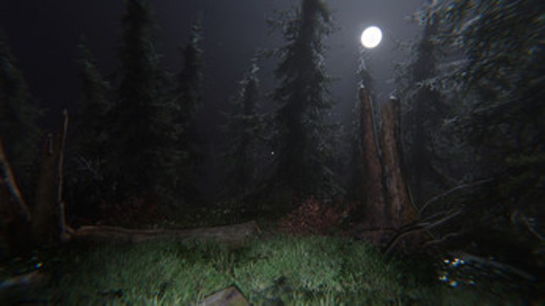 Echoes of Darkwood screenshot