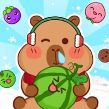 Fruit Drop Game Image