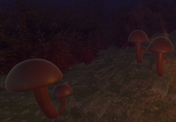 Trip in the Twilight Timberlands Image