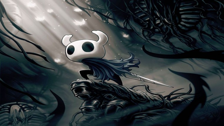 Hollow Knight Voidheart Edition Image