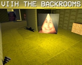 Viih The Backrooms Image