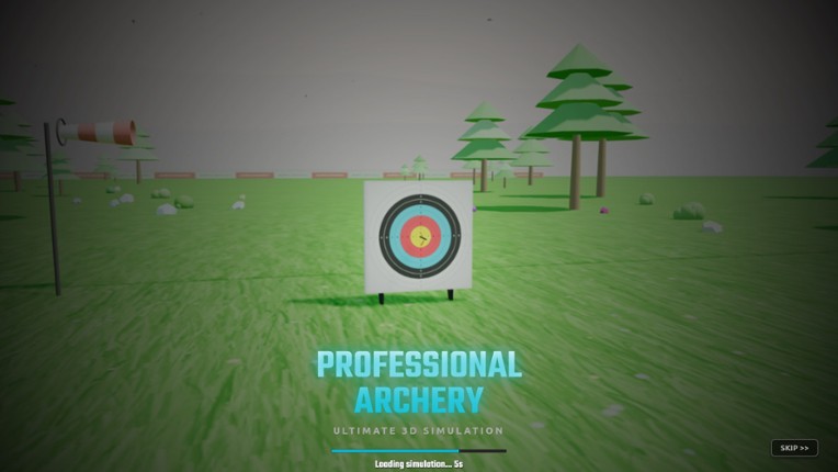 Archery Professional 3D Image