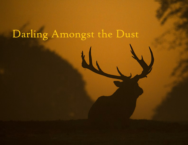 Games like Darling Amongst the Dust