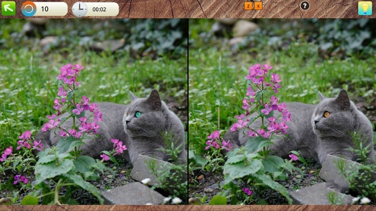 Peaceful Gardens 2: Cute Cats screenshot