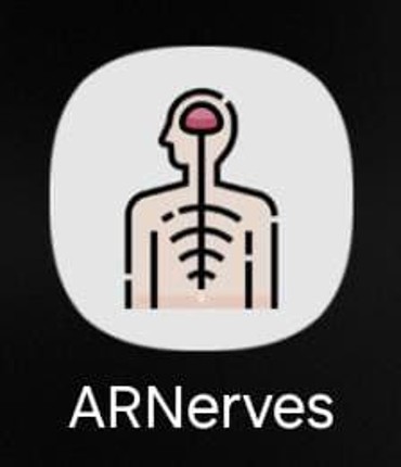 ARNerves Image