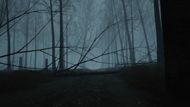 Dead Forest Image