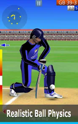 Smashing Cricket screenshot