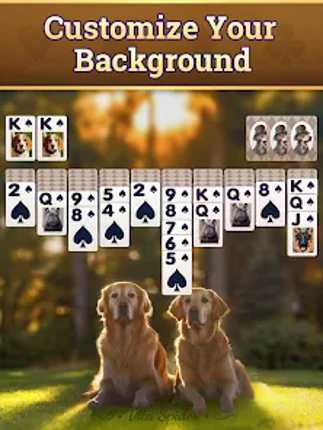 Vita Spider Solitaire screenshot