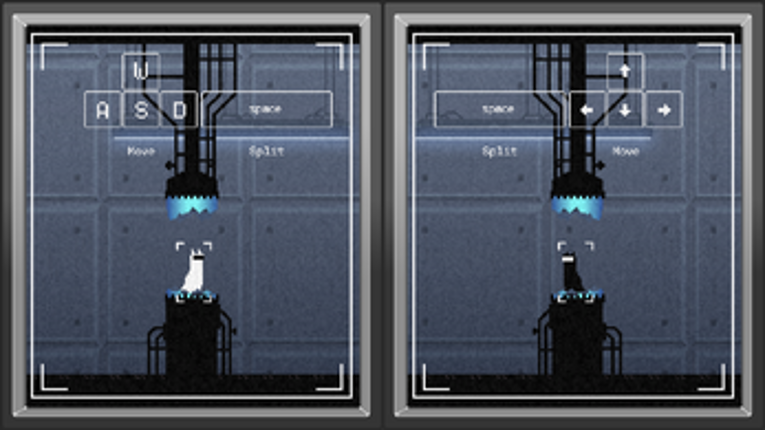 Split Image