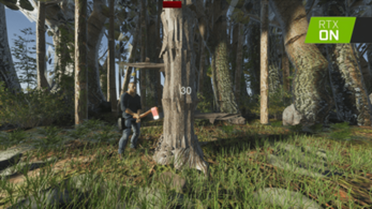Timperman RTX Image