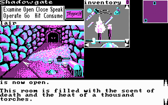 Shadowgate Image