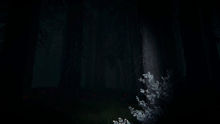 Shroud of the Woods screenshot