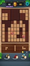 Wood Sudoku: Block Puzzle 333 Image