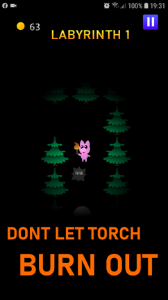 Animal Labyrinth Image