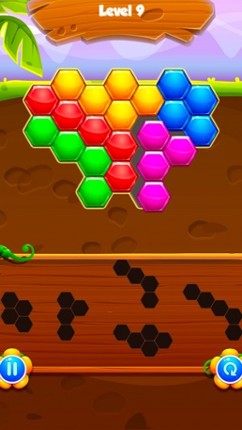 Beehive Block Pop! screenshot