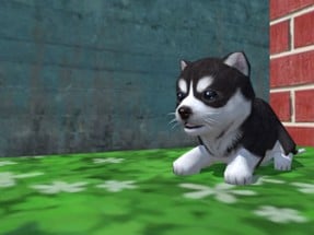 Cute Pocket Puppy 3D Image