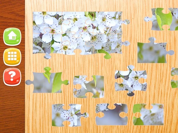 Flower Jigsaw Puzzle HD - New Jigsaw Games for Kids and Adults screenshot