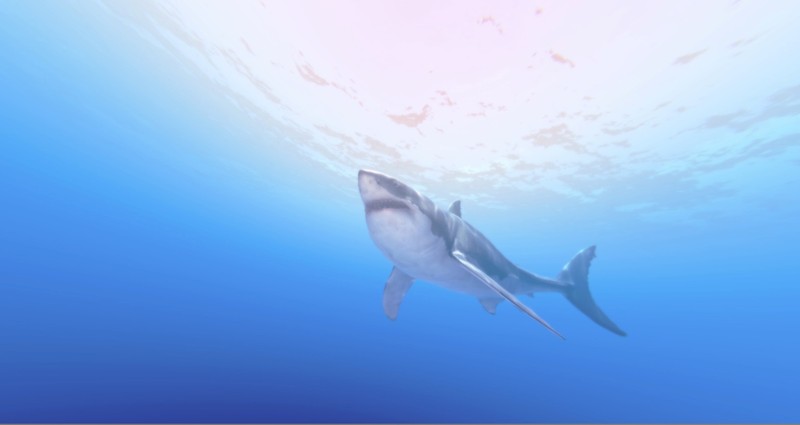 Operation Apex Image