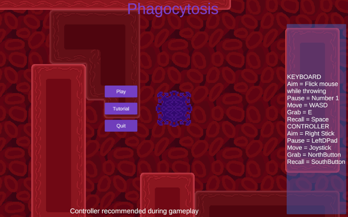 Phagocytosis Image