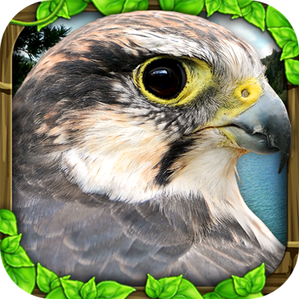 Falcon Simulator Image