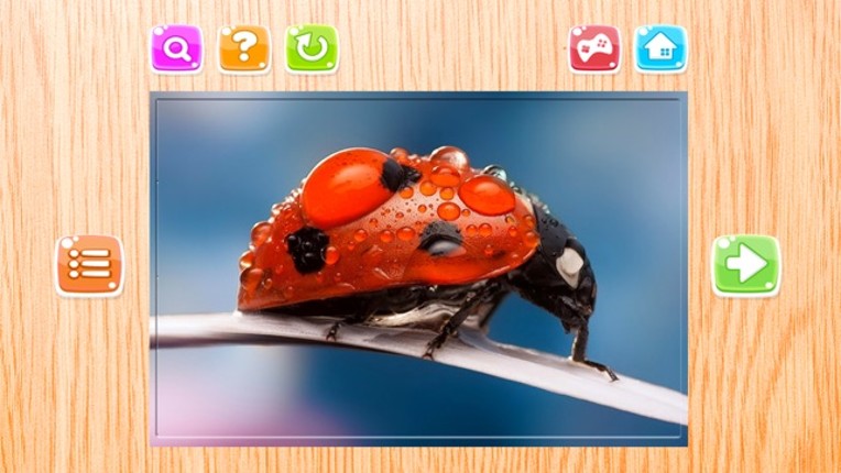Nature Flowers and Bug Jigsaw Puzzle for Adults Image